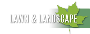 bob and daves lawn and lanscape services